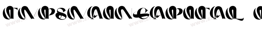 TVPSVainCapital regu字体转换